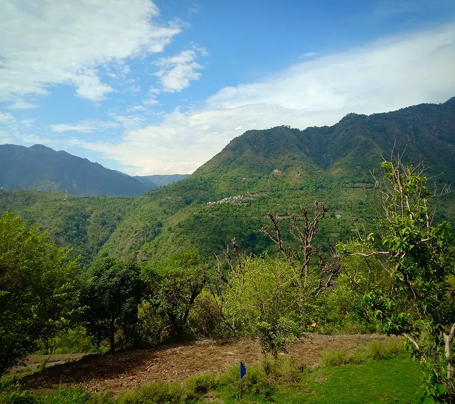 Organic Farming
